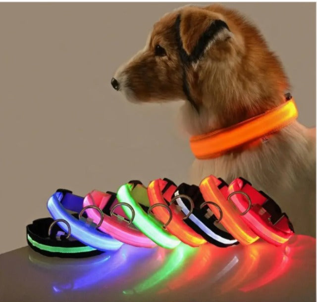COLLAR DOG ™ - Luminoso LED Recargable Mascotas